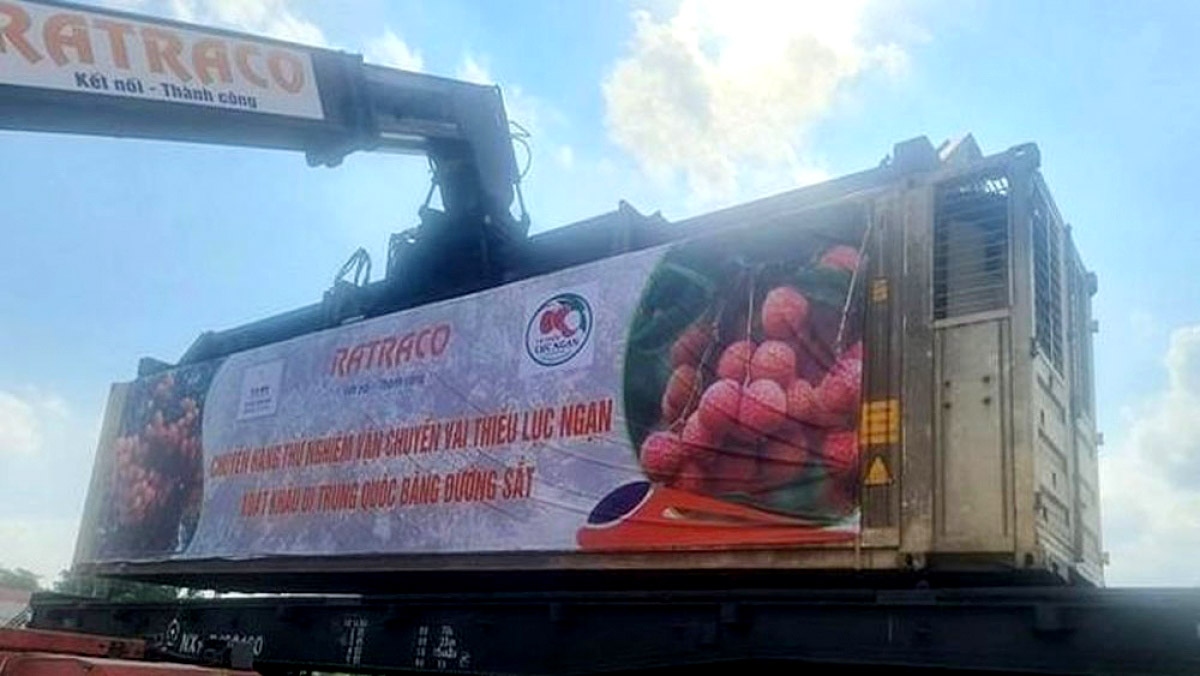 First fresh lychee batch exported to China by rail